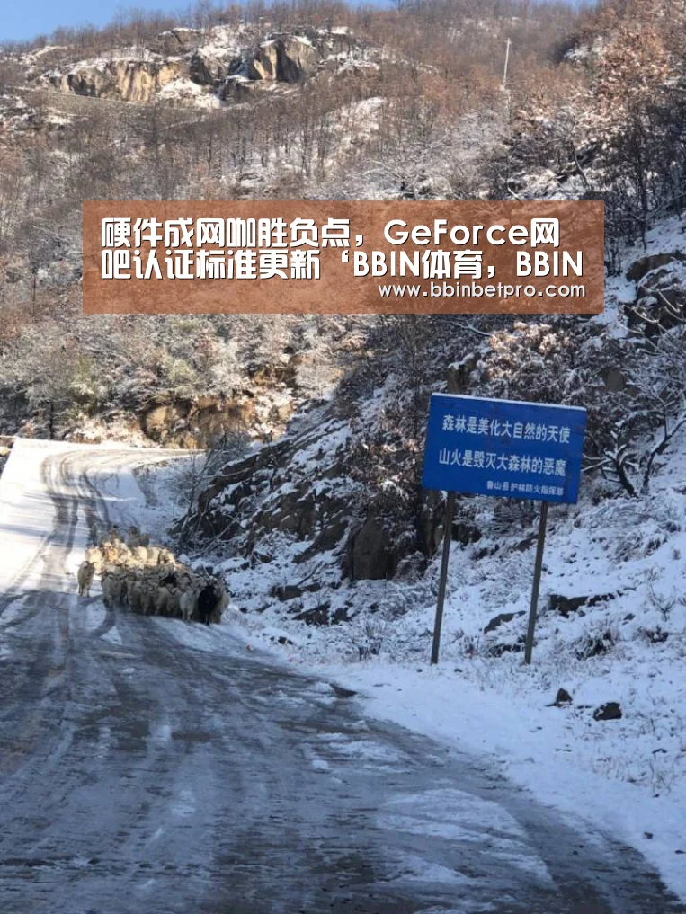 BBIN体育，BBIN百家乐，BBIN下载，BBIN真人